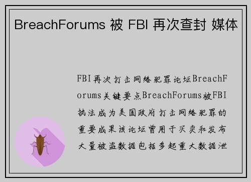 BreachForums 被 FBI 再次查封 媒体