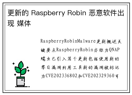 更新的 Raspberry Robin 恶意软件出现 媒体